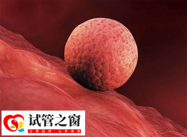 內(nèi)膜線欠清可能影響試管移植