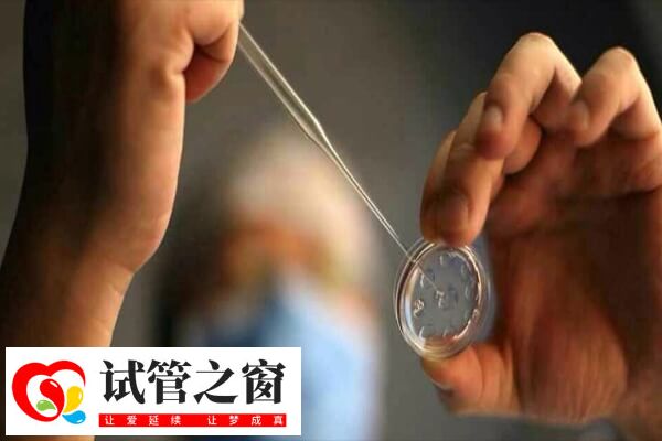 做試管的目的是獲得妊娠并成功生產(chǎn)
