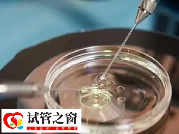 試管治療的成功率并非100%