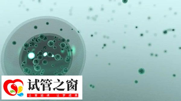 二代試管有胚胎缺陷風(fēng)險