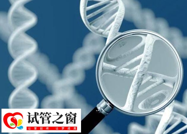 俄羅斯試管嬰兒成功率高達75%