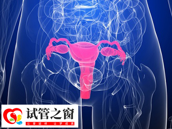 PGS技術(shù)能提高妊娠成功率