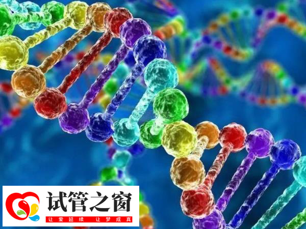 PGT-A對胚胎進行23對染色體非整倍體檢測