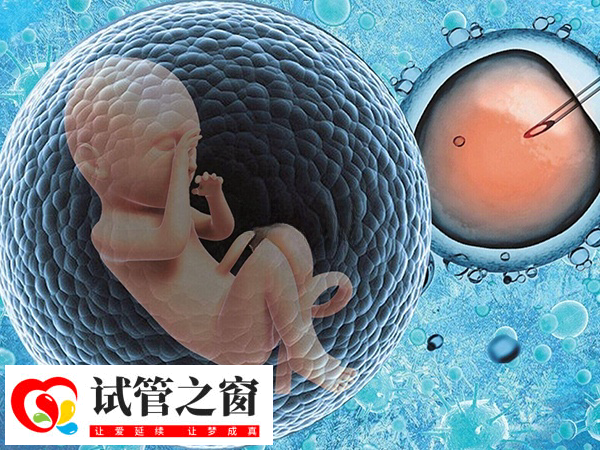 淮南市中心醫(yī)院可以做供卵試管