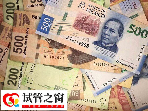 安順醫(yī)院做試管收費(fèi)不貴