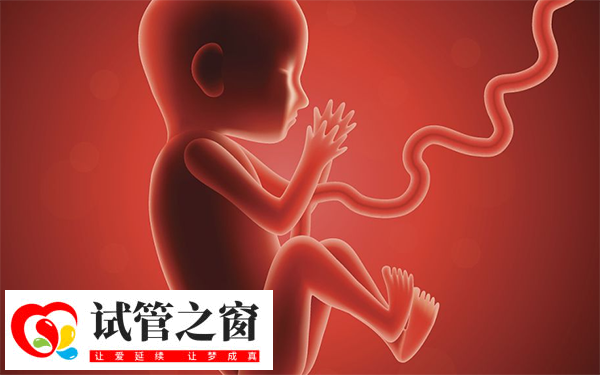 檢查二超顯示胎兒發(fā)育正?？梢援厴I(yè)