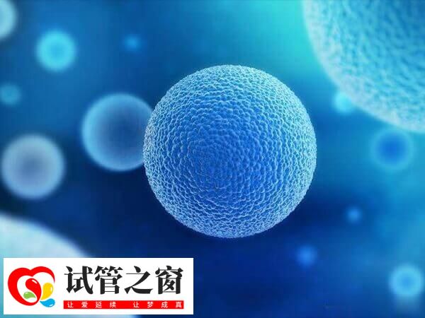 試管移植后出現(xiàn)血栓很正常