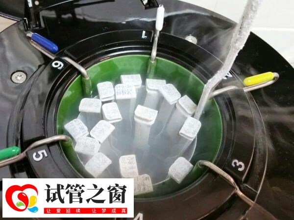 凍胚解凍復(fù)蘇率約90%