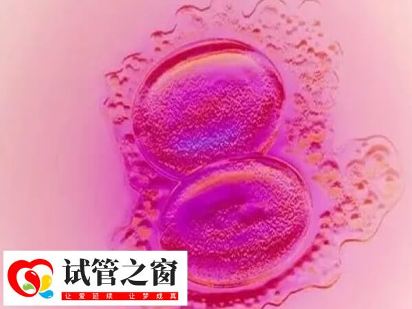 囊胚移植第4-7天開(kāi)始著床