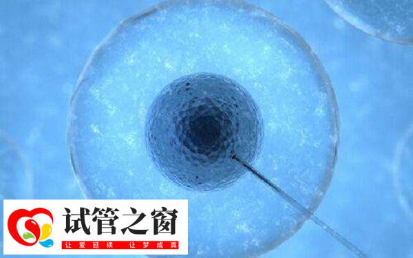 試管移植成功率與多個因素都有關系