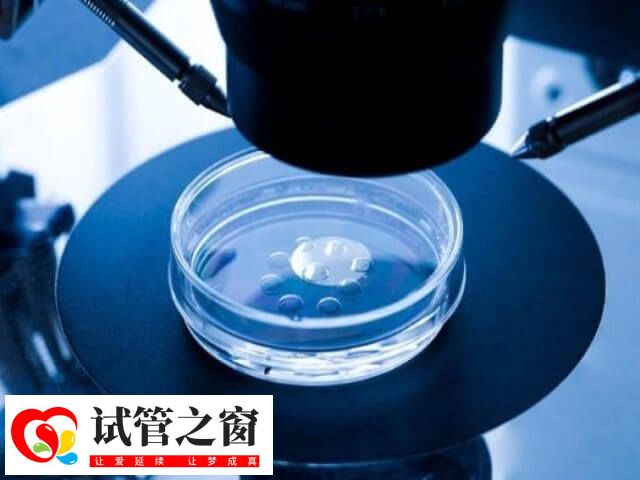 6aa囊胚被認(rèn)為是優(yōu)質(zhì)的胚胎