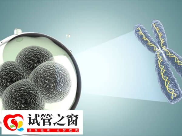 囊胚著床成功也會引起尿頻