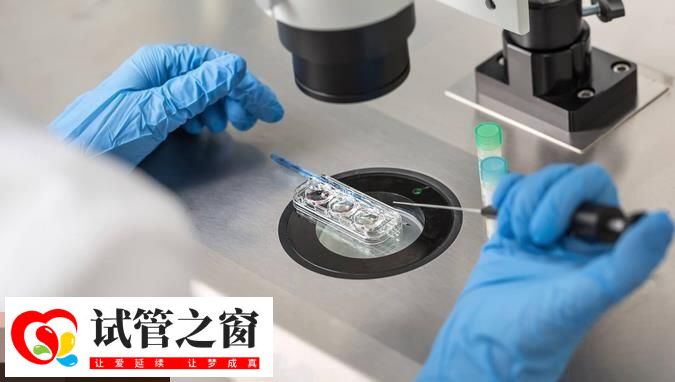 試管移植成功后大概3個月后穩(wěn)定