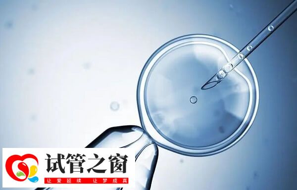 鮮胚指的是在體外3-5天內(nèi)發(fā)育出來(lái)的胚胎