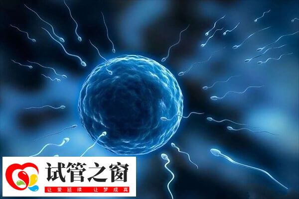 宮腔灌注是一種常見的輔助生殖技術(shù)