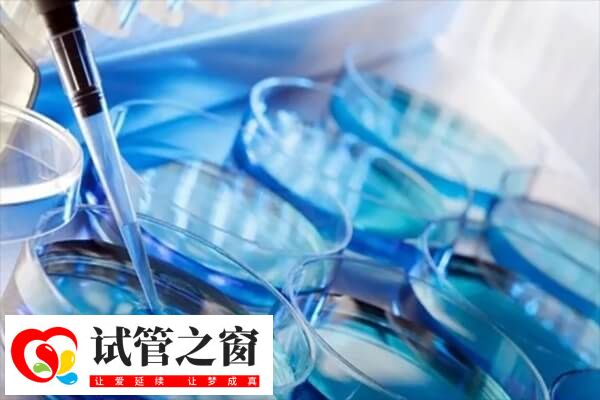 染色體平衡易位是一種常見(jiàn)的遺傳疾病