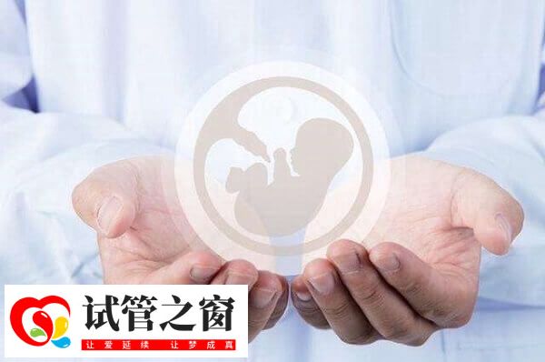 取卵后三天可進(jìn)行鮮胚移植