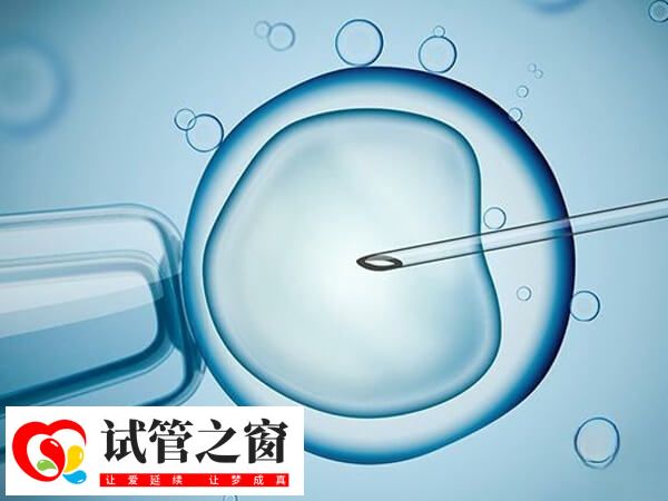 胚胎培養(yǎng)時間因人而異