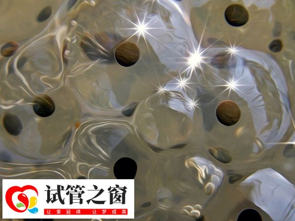 供卵在國內(nèi)不受法律保護(hù)