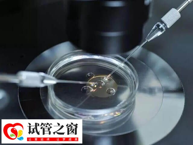試管移植是一種輔助生育技術(shù)
