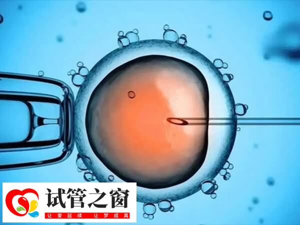 胚胎移植后發(fā)燒了可能會影響子代健康