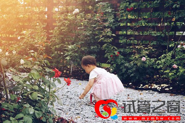 三代試管嬰兒 三代試管嬰兒