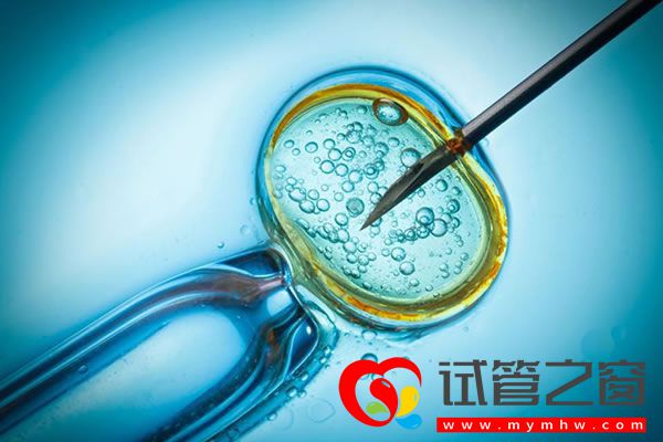 試管之窗