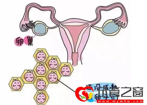 試管之窗