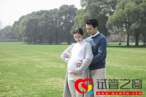 試管之窗