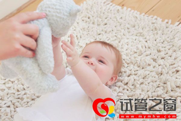 試管之窗