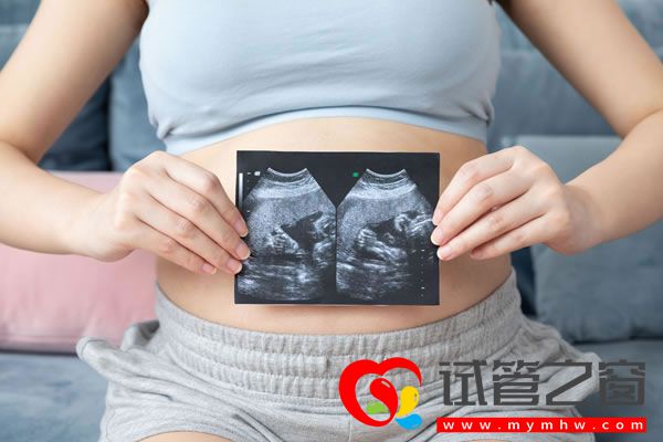 試管之窗