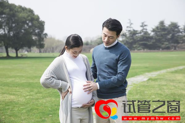 試管之窗