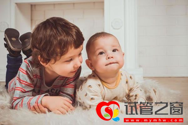 試管之窗
