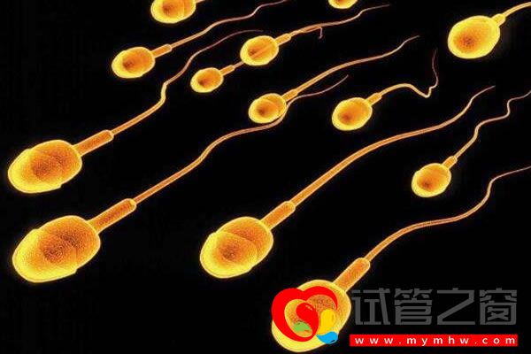 試管之窗 試管之窗