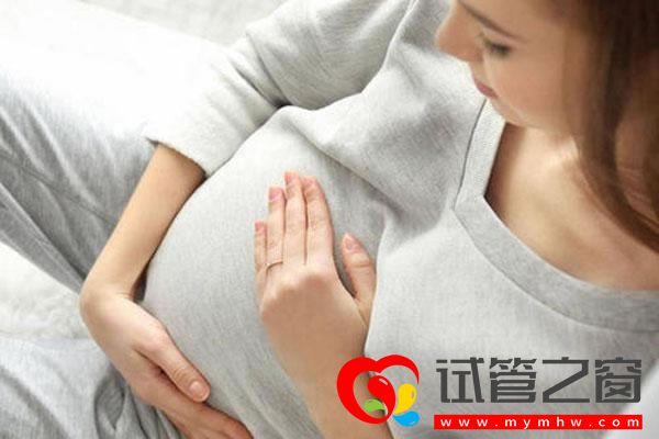 試管之窗
