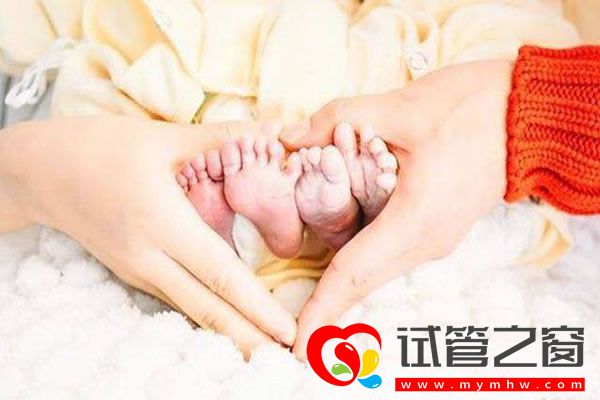 試管之窗 試管之窗