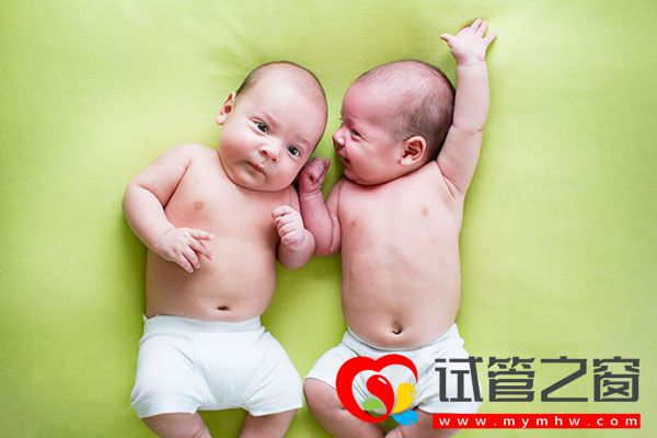 試管之窗