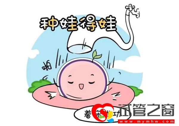 試管之窗