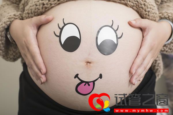 試管之窗