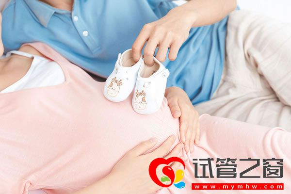 試管之窗