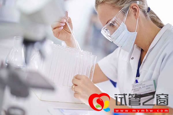 試管之窗