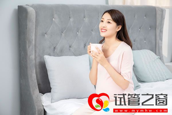 試管之窗